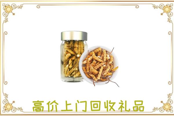 新密市周边回收虫草